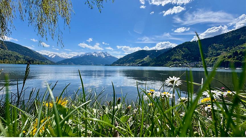 See mit Blumenwiese am Ufer und Bergen im Hintergrund bei schönem Wetter.