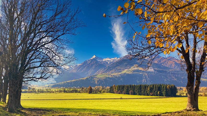 © Martin Grill Goldener Herbst im Pinzgau mit Blick zum Kitzsteinhorn. (Martin Grill)
