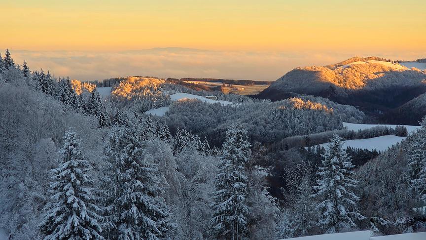 © Christian Hahn Ein Bergpanorama mit verschneiten Nadelbäumen über das sich warmes Licht der aufgehenden Sonne legt
