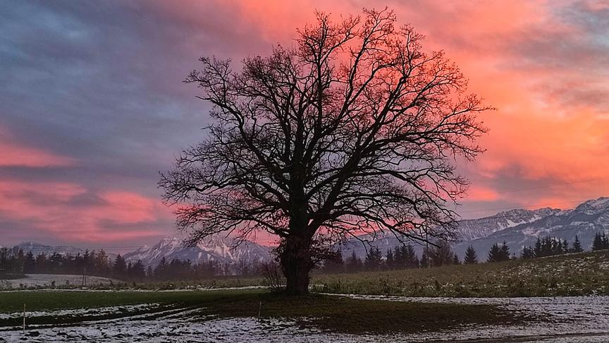 © Doris Blüm Stimmungsbild....Umgebung Rayach. (Doris Blüm)