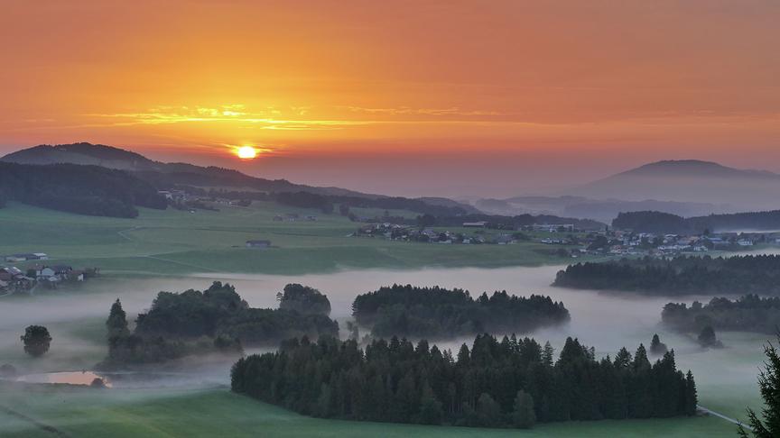 © Doris Stemeseder Der Herbst klopft an. Sonnenaufgang mit Nebelstimmung. (Mattsee). (Doris Stemeseder)