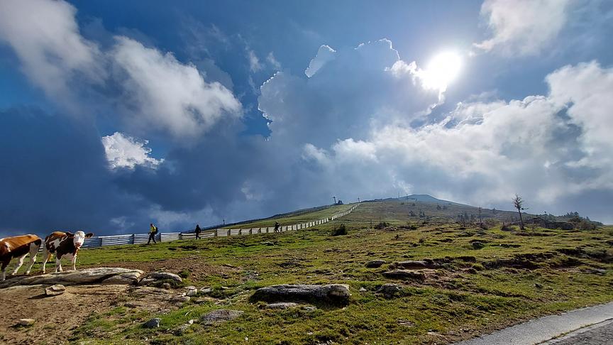 © Livio Cimenti Stimmungsvoller Almabtrieb auf der Koralm. (Livio Cimenti)