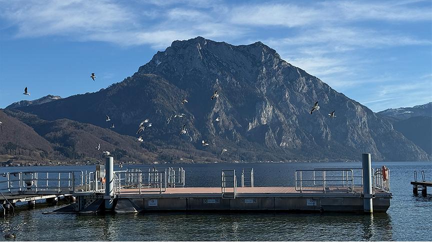 Über einem Steg im See und vor einem Bergpanorama fliegt ein Schwarm Möwen bei schönem Wetter.
