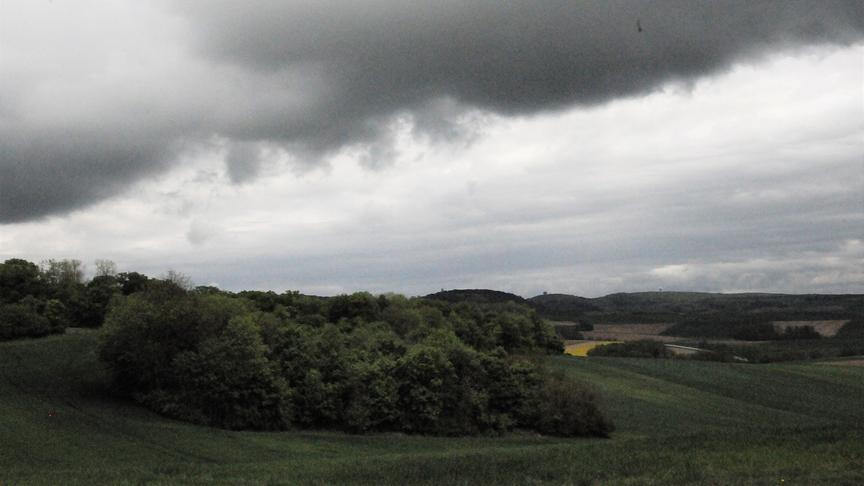 © Josef Christelli Dicke Wolken über den Leiserbergen aber kein Regen. (Josef Christelli)