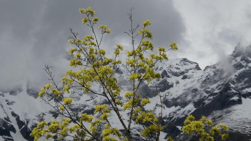 © Ferdinand Mader Der Frühling wird den Winter besiegen. (Ferdinand Mader)