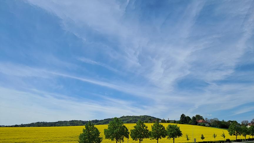 Blauer Himmel mit leichter, sich hinziehender Bewölkung über Acker und Rapsfeld.