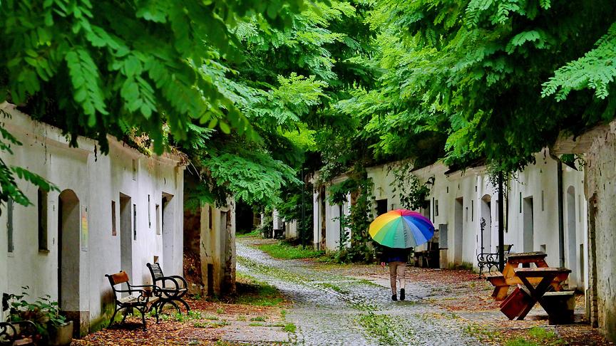 © Manfred Polansky Das Regenwetter machte einen Spaziergang durch die menschenleere Kellergasse von Poysdorf zu einem besonderen Erlebnis. (Manfred Polansky)