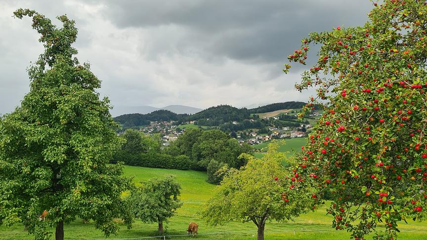 © Helga Grimps Dunkle Wolken über Julbach (Helga Grimps)
