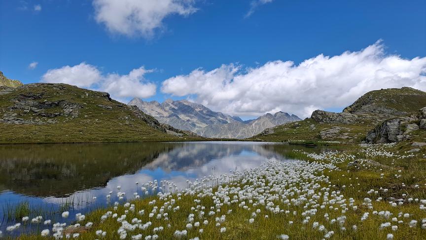 Idyllische Berglandschaft mit See. Im Vordergrund eine Wiese mit Wollgras, im Hintergrund ein imposantes Bergmassiv, dessen Gipfel bereits die Wolken touchiert bei Schönwetter.