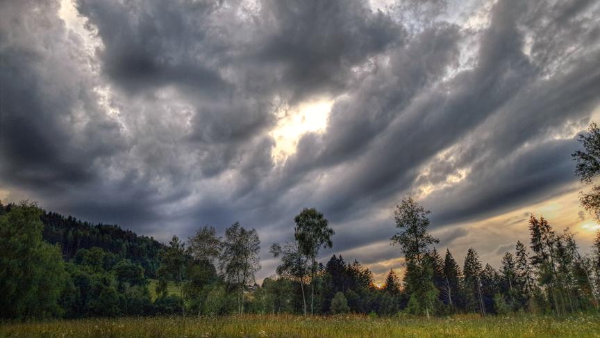 Grüne Landschaft mit hoher Wiese, Bäumen und Hügeln unter grauer Wolkendecke. Die Sonne leuchtet hell hinter den Wolken.