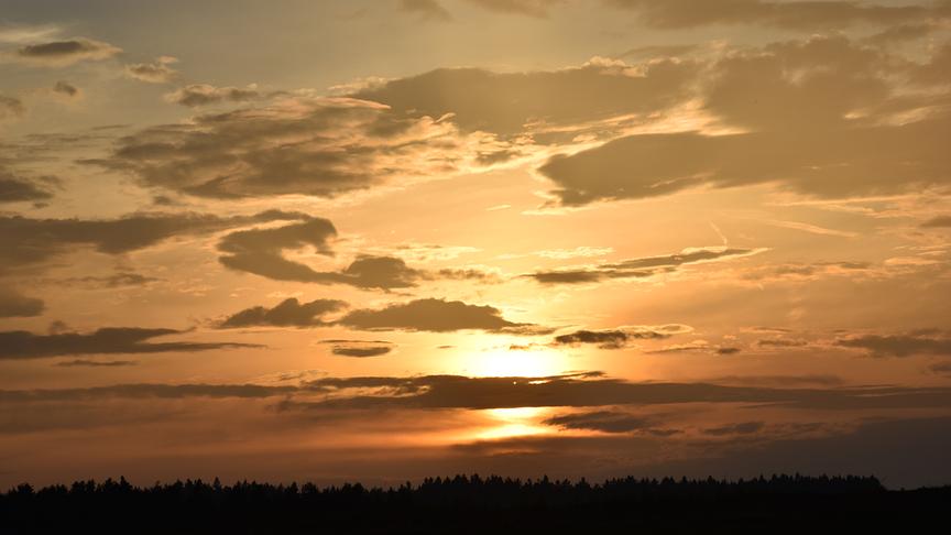 © Renate Neuwirth Abendhimmel mit Saharastaub erzeugt eine ganz eigene Stimmung im Waldviertel. (Renate Neuwirth)