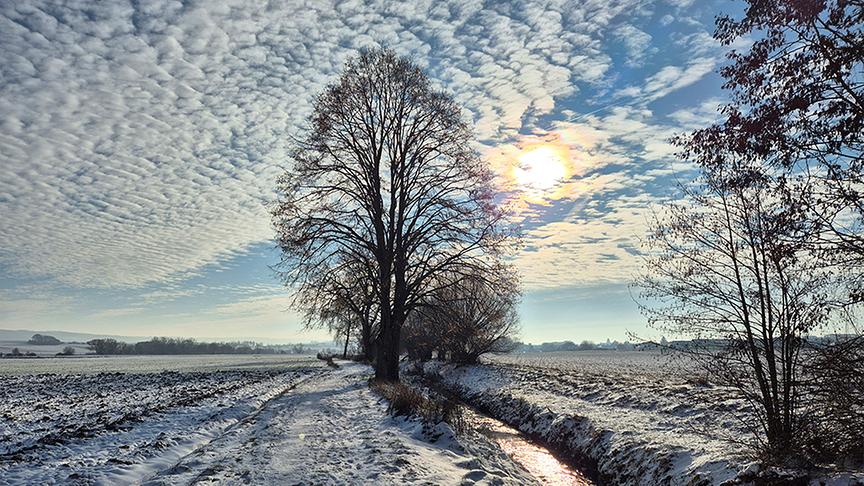 Winterlandschaft, Waldviertel, Mödringbach, Blickrichtung Horn. (Sarah Hüttl)