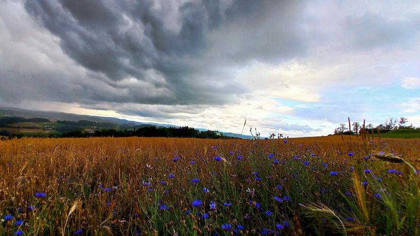 © Sabine Lauß Mal Regen, mal Sonnenschein in Peilstein im Mühlviertel! (Sabine Lauß)