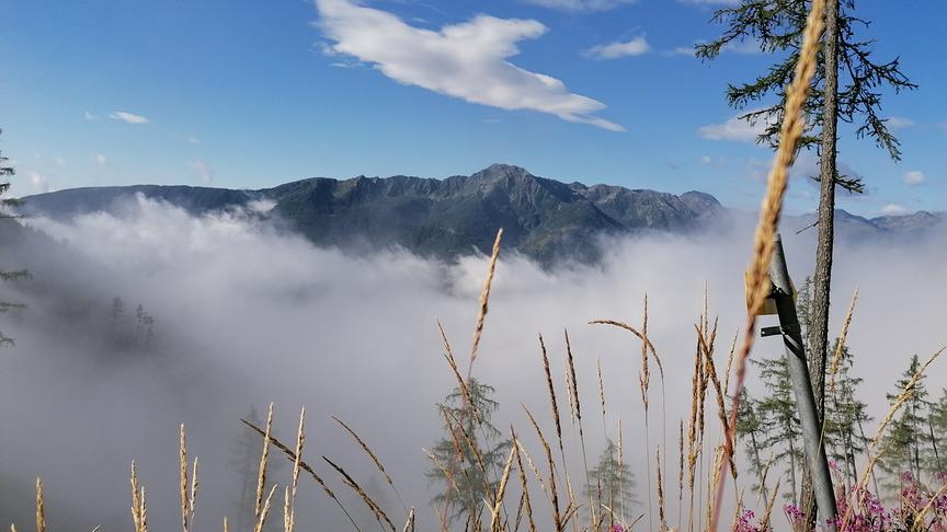 © Karoline Fian Blick von der Hattelberger Alm (Reisseckgruppe) auf die kleinen und großen Salzkofel (Kreuzeckgruppe). (Karoline Fian)