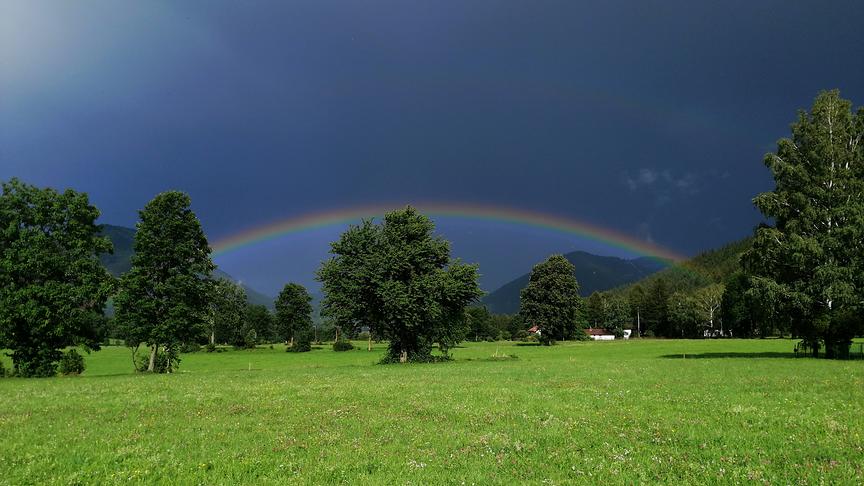 © Gerda Nemetz Regenbogen über Puchberg. (Gerda Nemetz)