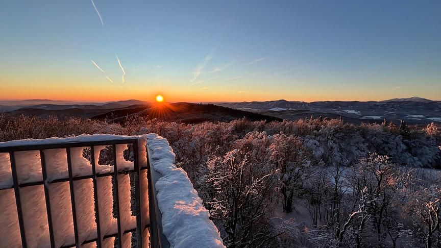 Sonnenaufgang am Schöpfl - höchste Erhebung des Wienerwaldes. (Caroline Huber)