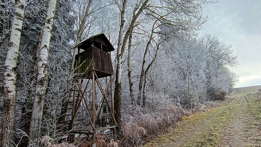 Spaziergang in Wernberg, Abt Pfannerweg. (Johanna Molzbichler)