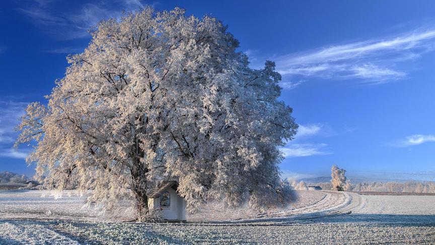 Rauhreif in Schwanenstadt. (Peter Grill)