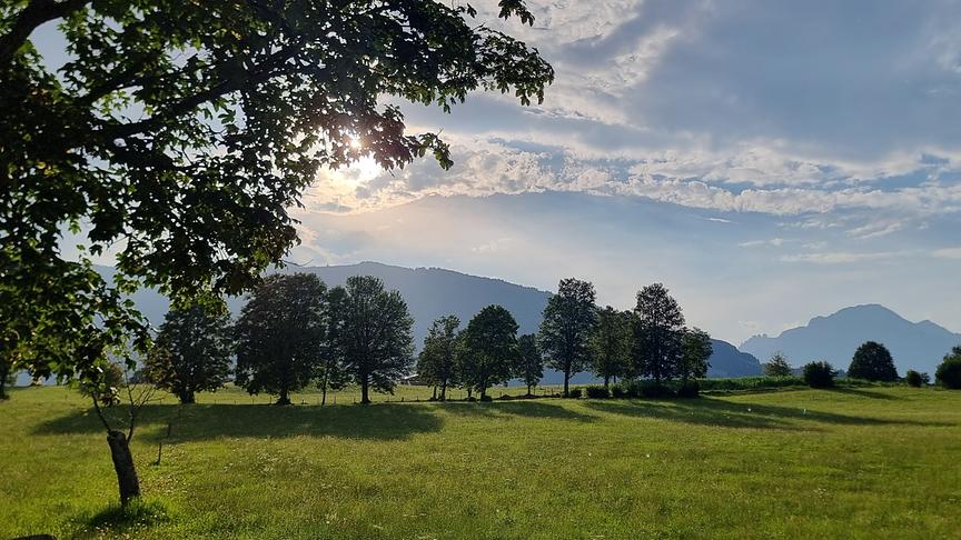 Stimmungsvoller Abend mit Blick auf das Birnhorn (Aufnahmeort SaalfeldenKollingwald) (Georg Ackerer)