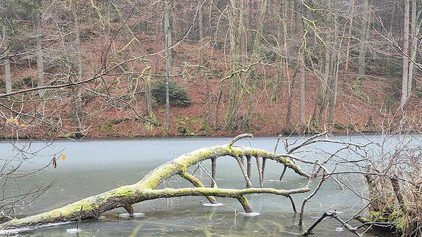 Ihr Wetterfoto fürs ORFFernsehen einschicken extra.ORF.at