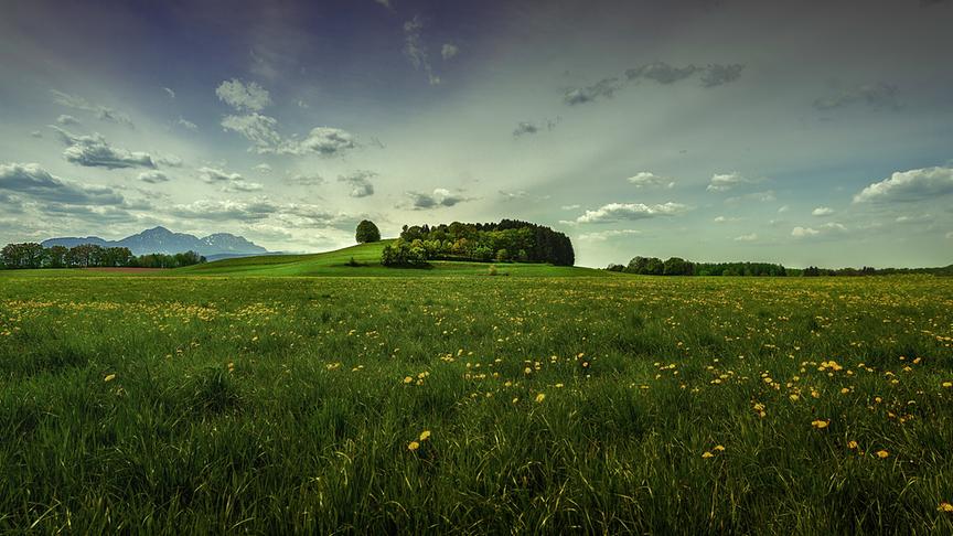 © Simon Krieg Frühlingstag im Salzburger Flachgau, Muntigl Bergheim. (Simon Krieg)