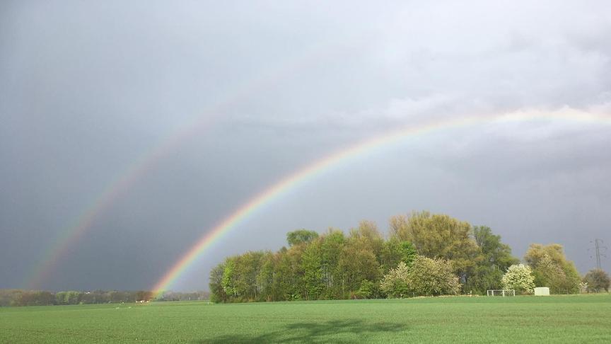 © Iliyana Dimitrova Wunderschöner Regenbogen nach dem heftigen Regen. (Iliyana Dimitrova)