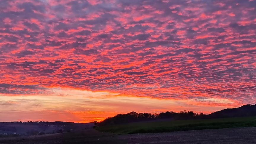 © Thomas Angleitner Sonnenuntergang in Hinzenbach. (Thomas Angleitner)