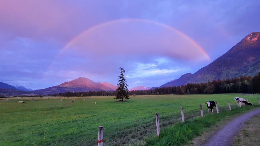 © Barbara Öttl Abendstimmung in der Bludescher Au. (Barbara Öttl)