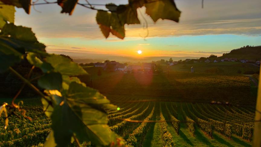 © Renate Franek Sonnenuntergang. (Renate Franek)