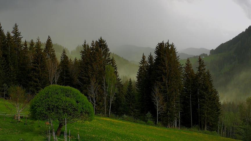 Ganze Wolken von Blütenstaub vor einem Gewitter in Murau mit Blick Richtung Kärnten. (Peter Haselmann)