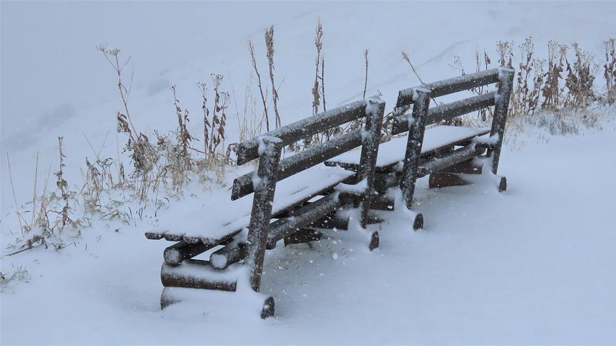 © Hans ter Braak Auf 1.900m am Kanzelwand im Kleinwalsertal. (Hans ter Braak)