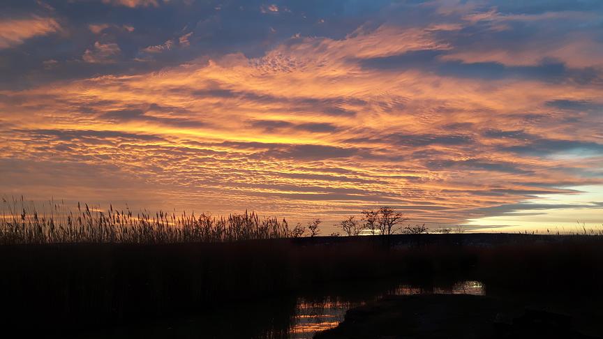 © Emmerich Trimmel Sonnenuntergang in Mörbisch am See. (Emmerich Trimmel)