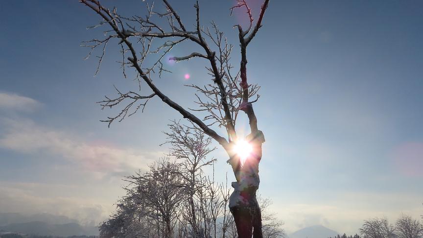 © Rudolf Kössl Sonne und Nebelschleier über Ybbsitz. (Rudolf Kössl)