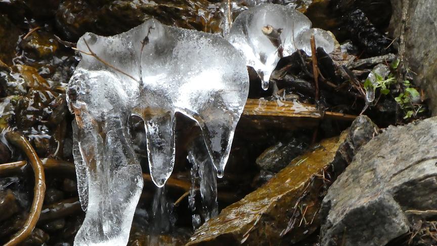 © Ferdinand Mader Langsam tropft sich der Winter ein. (Ferdinand Mader)