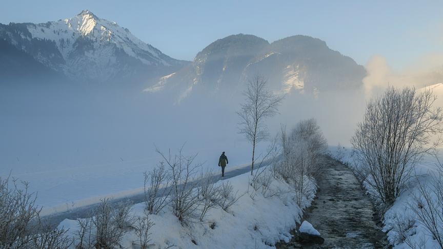 © Manfred Gasser Schneespaziergang. (Manfred Gasser)
