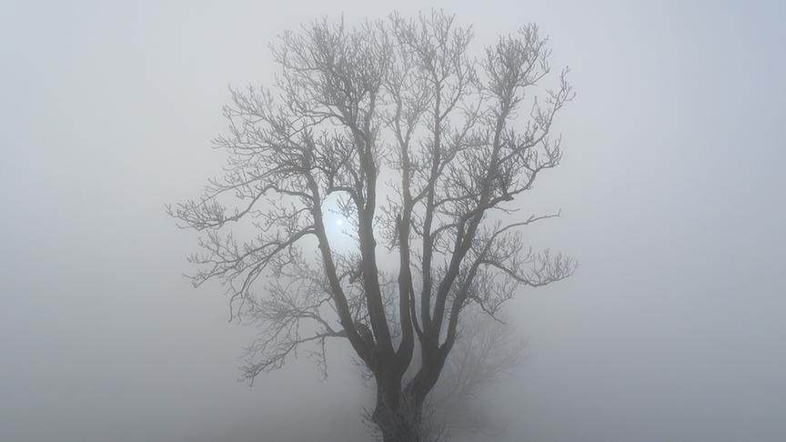 © Rudolf Kössl Am Grestner Hochkogel kämpft sich die Sonne durch den dicken Nebel. (Rudolf Kössl)