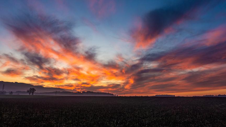 © Friedrich Fuchshuber Herrlicher Sonnenuntergang in Ohlsdorf. (Friedrich Fuchshuber)
