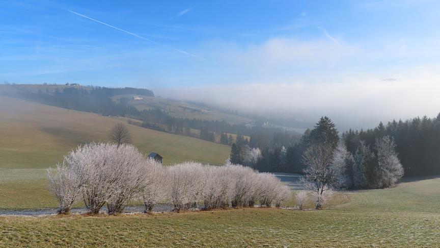 © Rudolf Kössl Eine wunderbare Raureif- u. Nebelstimmung auf dem Franzenreitherberg bei Randegg. (Rudolf Kössl)