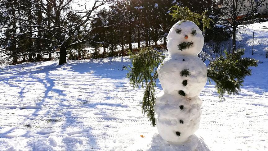 © Georg Michitsch Unser selbstgebauter Schneemann. (Georg Michitsch)