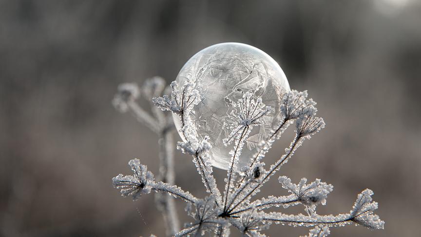 © Melitta Hörnböck Die Morgentemperatur machts möglich: gefrostete Seifenblase. (Melitta Hörnböck)