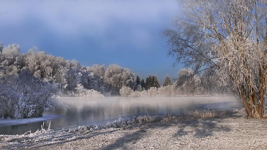 © Peter Grill Winter in Schwanenstadt - kein Schnee aber dafür sehr viel Nebel und Raureif. (Peter Grill)