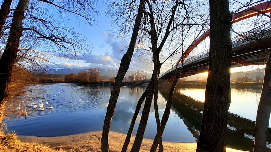 © Heidi Gatternig Schwäne am Drauufer bei der Friedensbrücke in Seebach bei Villach. (Heidi Gatternig)