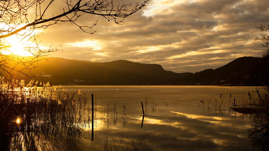 © Edi Herzele Keutschacher See Ostbucht, Blick Richtung Westen. (Edi Herzele)