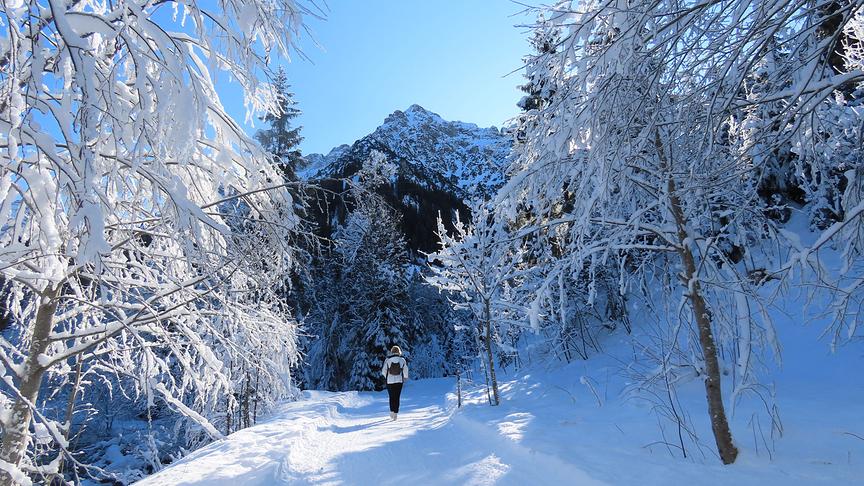 © Hans ter Braak Wintermärchen. (Hans ter Braak)