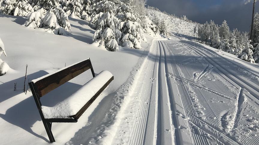 © Gerhard Starkl Langlaufen bei Neuschnee Loipe Turmkogel. (Gerhard Starkl)