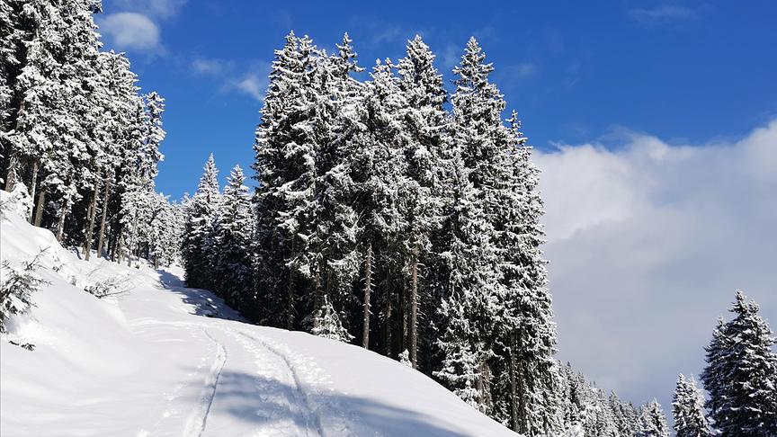 © Georg Ackerer Herrlich frischer Neuschnee auf der Schitour. (Georg Ackerer)