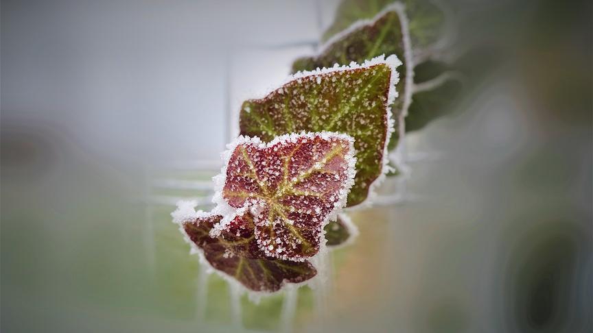 © Karl Zettelbauer Der Wetterbericht ist eine "Herzensangelegenheit". (Karl Zettelbauer)