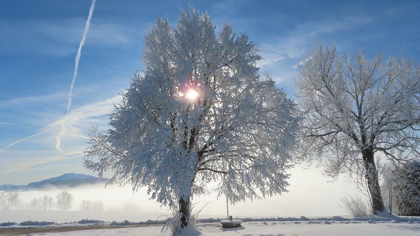 © Rudolf Kössl Wunderbare Winterstimmung auf der Richtereck-Höhe bei Randegg. (Rudolf Kössl)