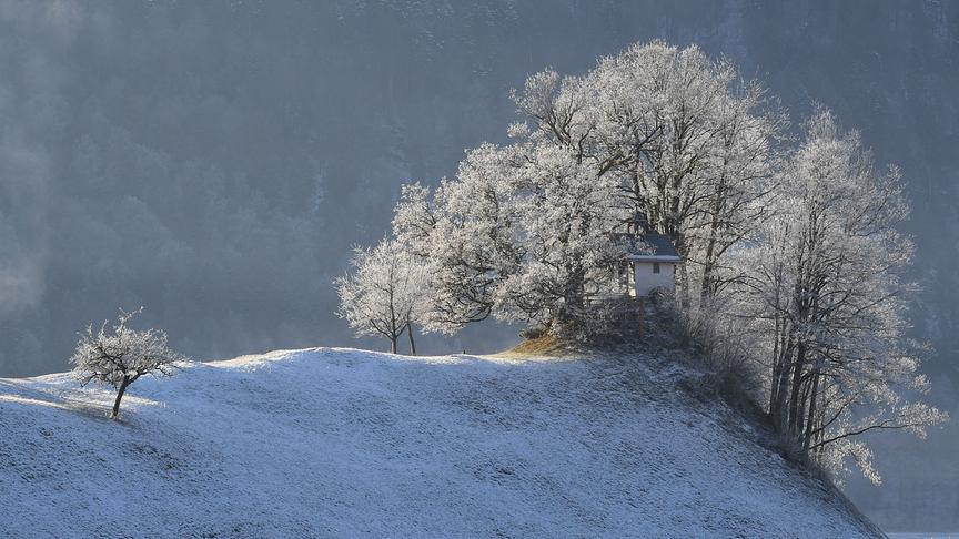 © Manfred Gasser Wintermorgen in Bizau. (Manfred Gasser)