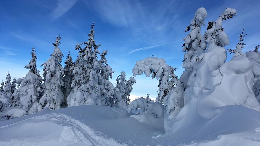 © Schrittwieser Robert Winterlandschaft im Schigebiet Stuhleck. (Schrittwieser Robert)